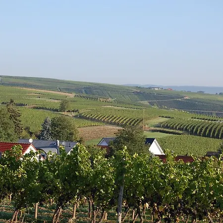 Heinrichs Winery Bed & Breakfast 3*