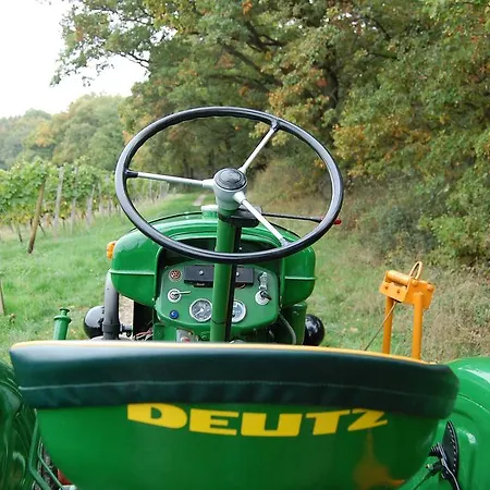 Heinrichs Winery Hotel Langenlonsheim