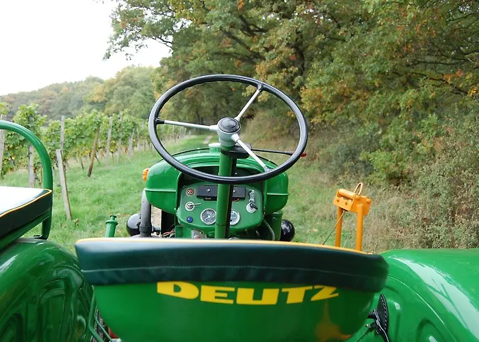 Heinrichs Winery מלון Langenlonsheim