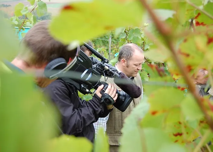 Heinrichs Winery מלון Langenlonsheim