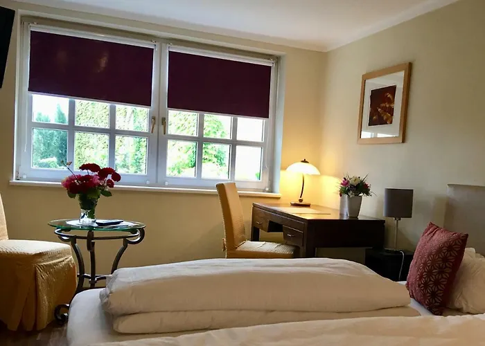 海因里希斯酒庄住宿加早餐旅馆 3* Langenlonsheim